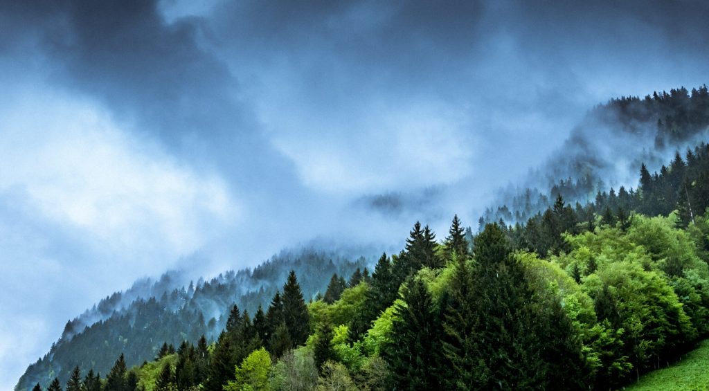 guy-bowden-lVDnLUACI18-unsplash