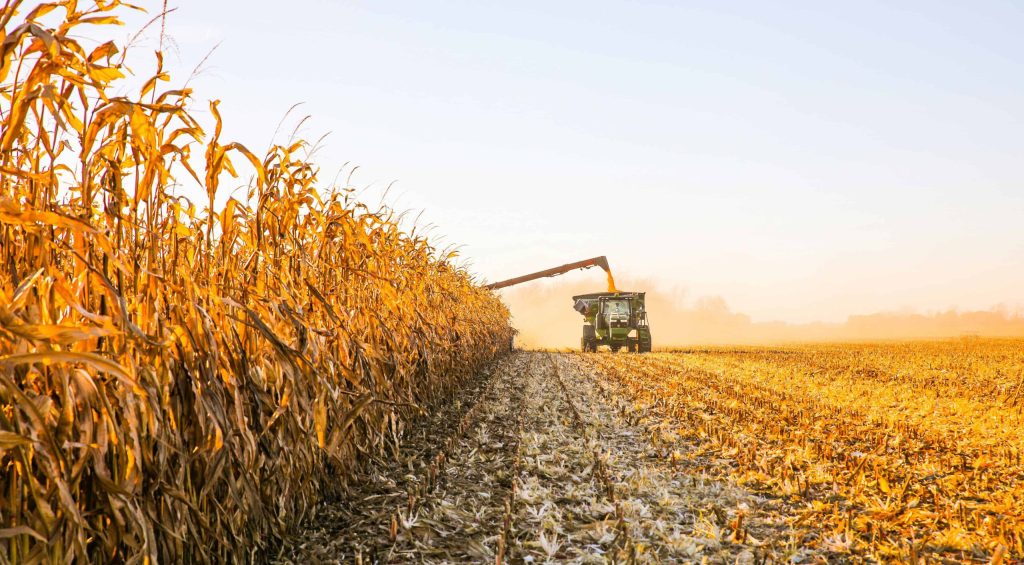 hannah-shedrow-2Crf9T9TKOY-unsplash (1)