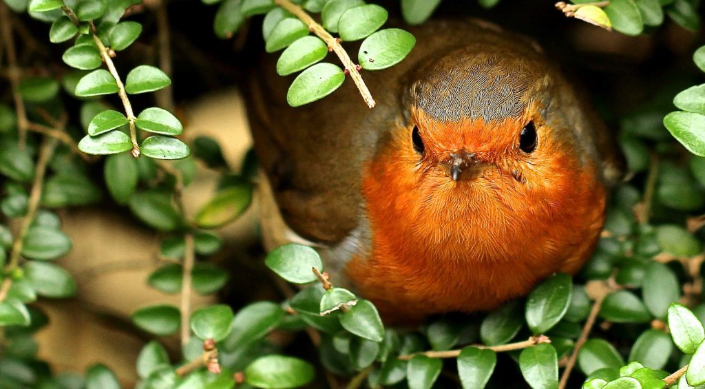 james-wainscoat-unsplash