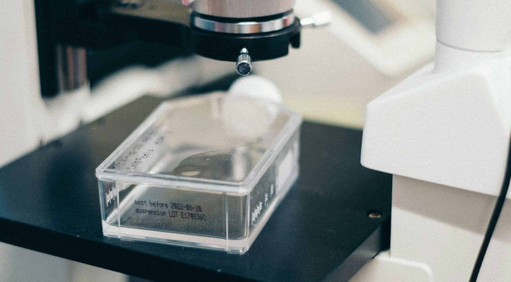 jaron-nix-5HbxyB0_DBg-unsplash (1)