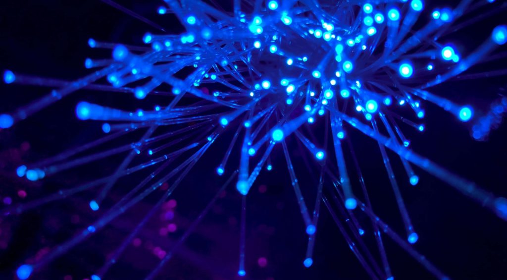 jj-ying-8bghKxNU1j0-unsplash-1