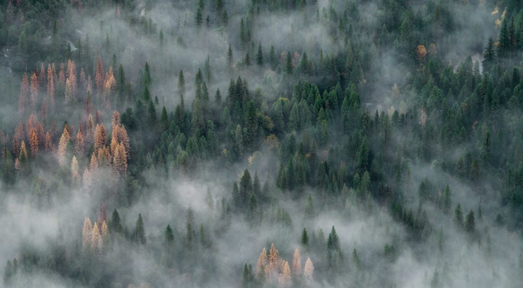 john-towner-89PFnHKg8HE-unsplash-1