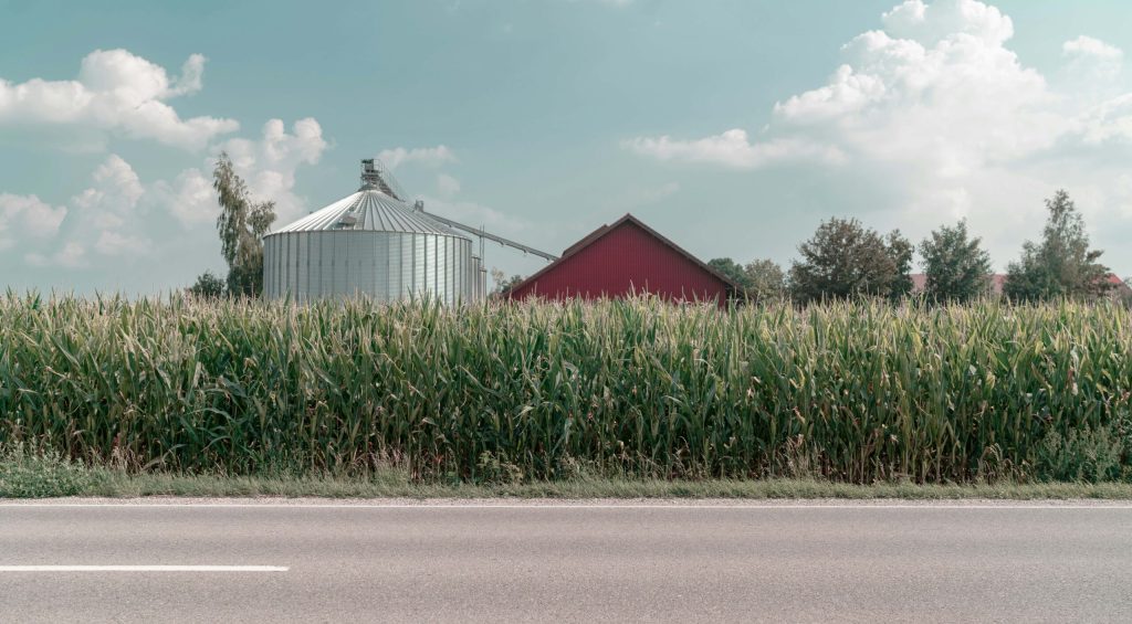 julian-scholl-HGJqVcbQLgk-unsplash (1)