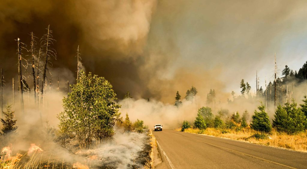 marcus-kauffman--iretlQZEU4-unsplash (1)