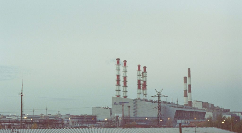 red-shuheart-ZPgUETuFmkQ-unsplash (1)