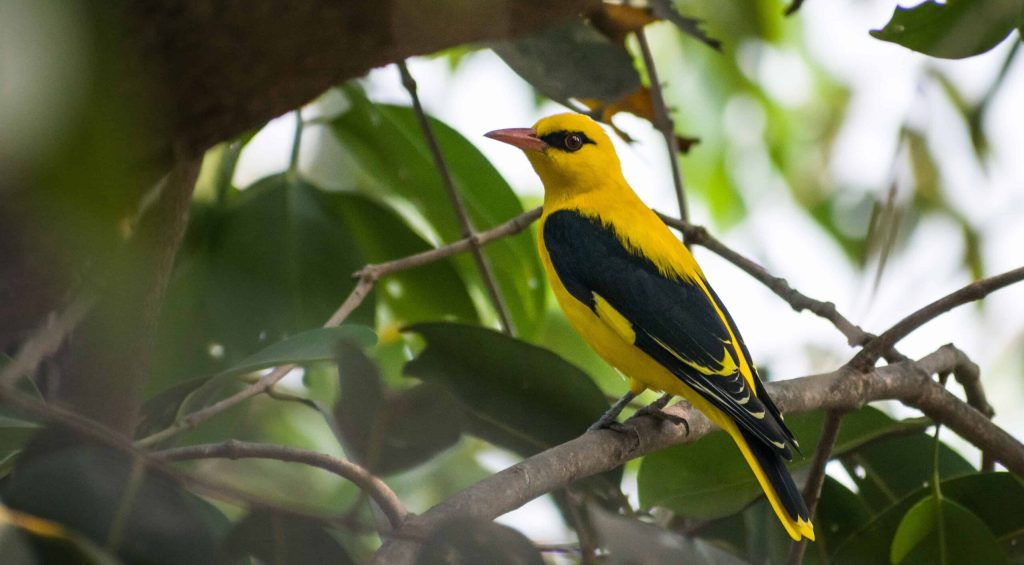 sonika-agarwal-uTmZVjODGCY-unsplash-1